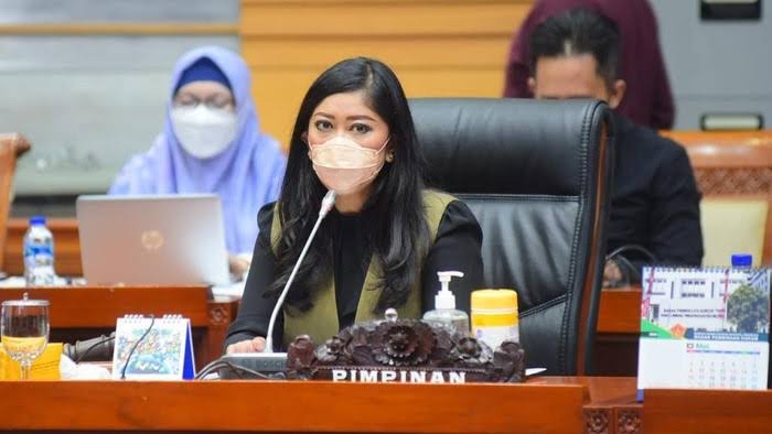 Ketua Komisi I DPR